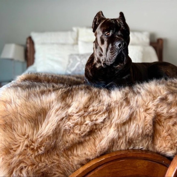 (NWT) PupProtector Waterproof Throw Blanket - Sable Tan, Large (80”L X 62”W) - Picture 11 of 12